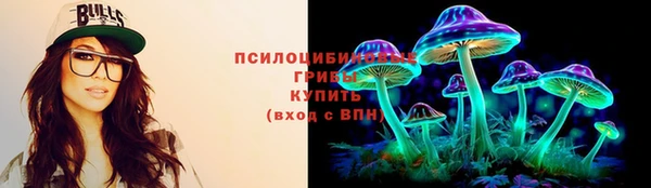 эйфоретик Ладушкин