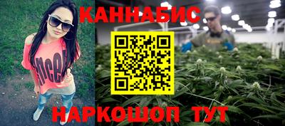 индика Абинск
