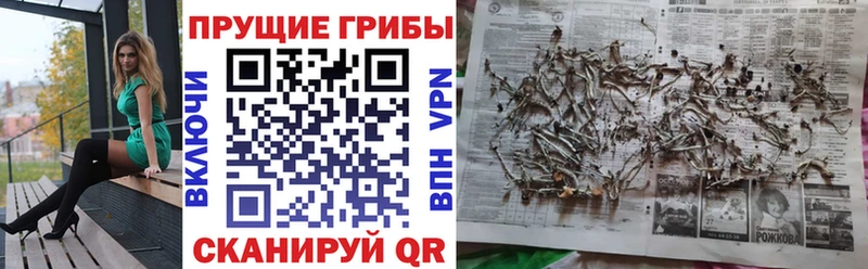 Галлюциногенные грибы мухоморы  блэк спрут зеркало  Альметьевск 