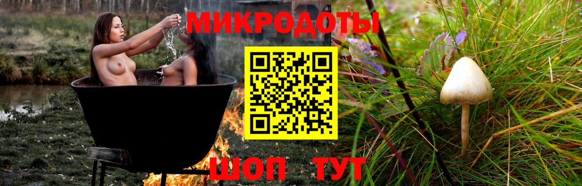 Альметьевск  Галлюциногенные грибы Psilocybe  Вход с VPN 