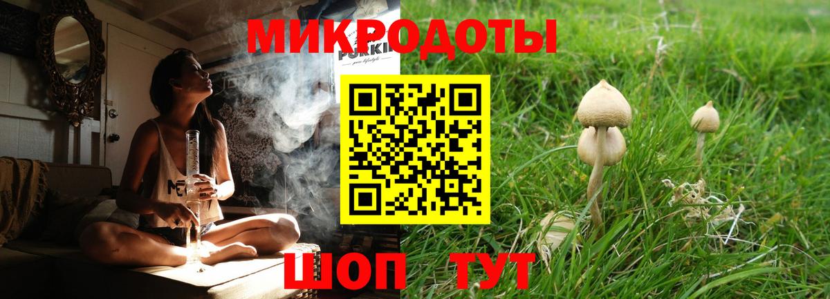 продажа наркотиков  Альметьевск  Галлюциногенные грибы GOLDEN TEACHER 