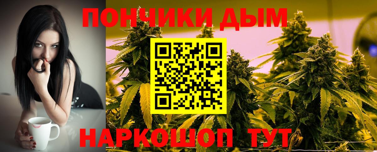 Конопля план  Шишки марихуана LSD WEED  Альметьевск  Конопля тримм  Вход с VPN 